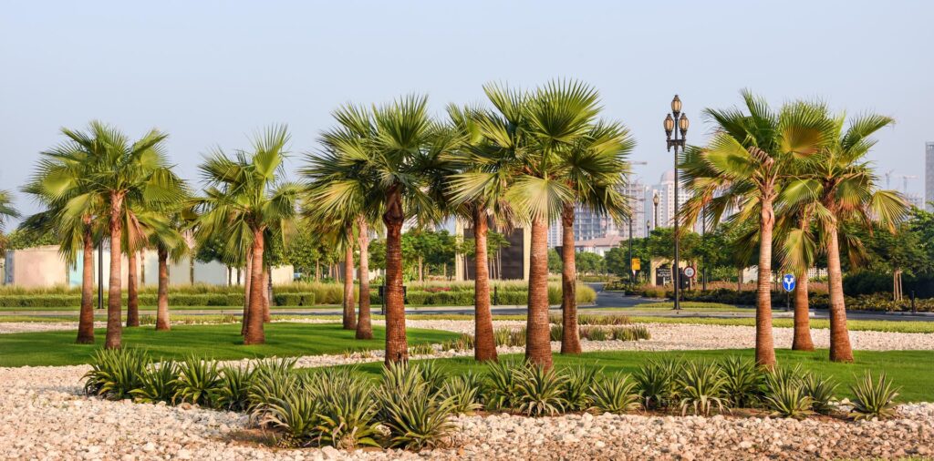 Irrigation Systems in Qatar Nakheel Landscapes