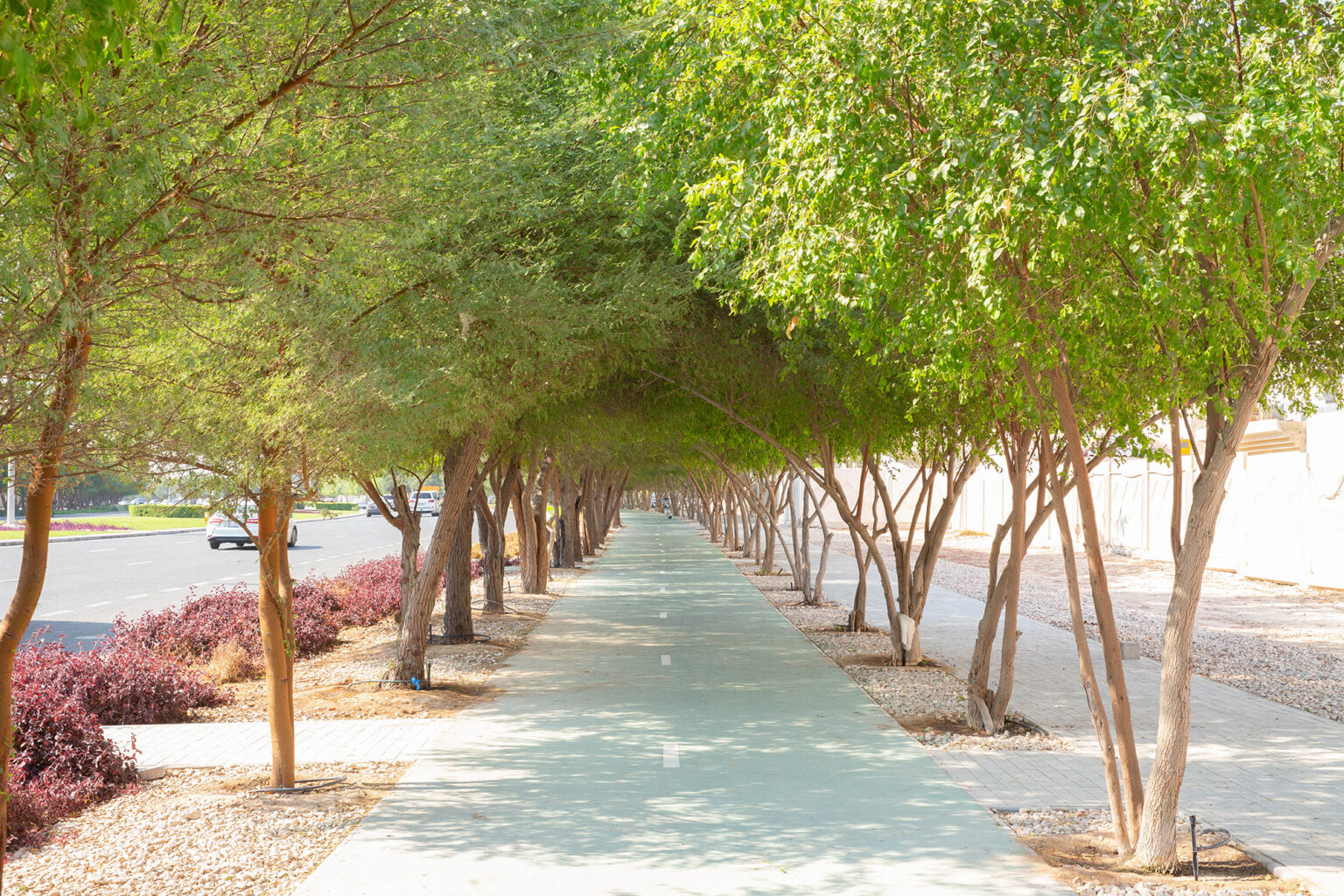 Irrigation Systems in Qatar Nakheel Landscapes